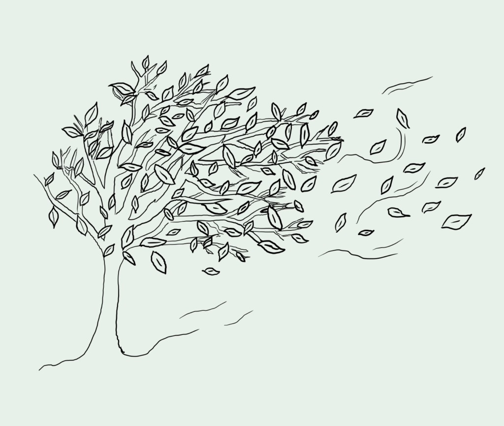 20260403 220954379 ios