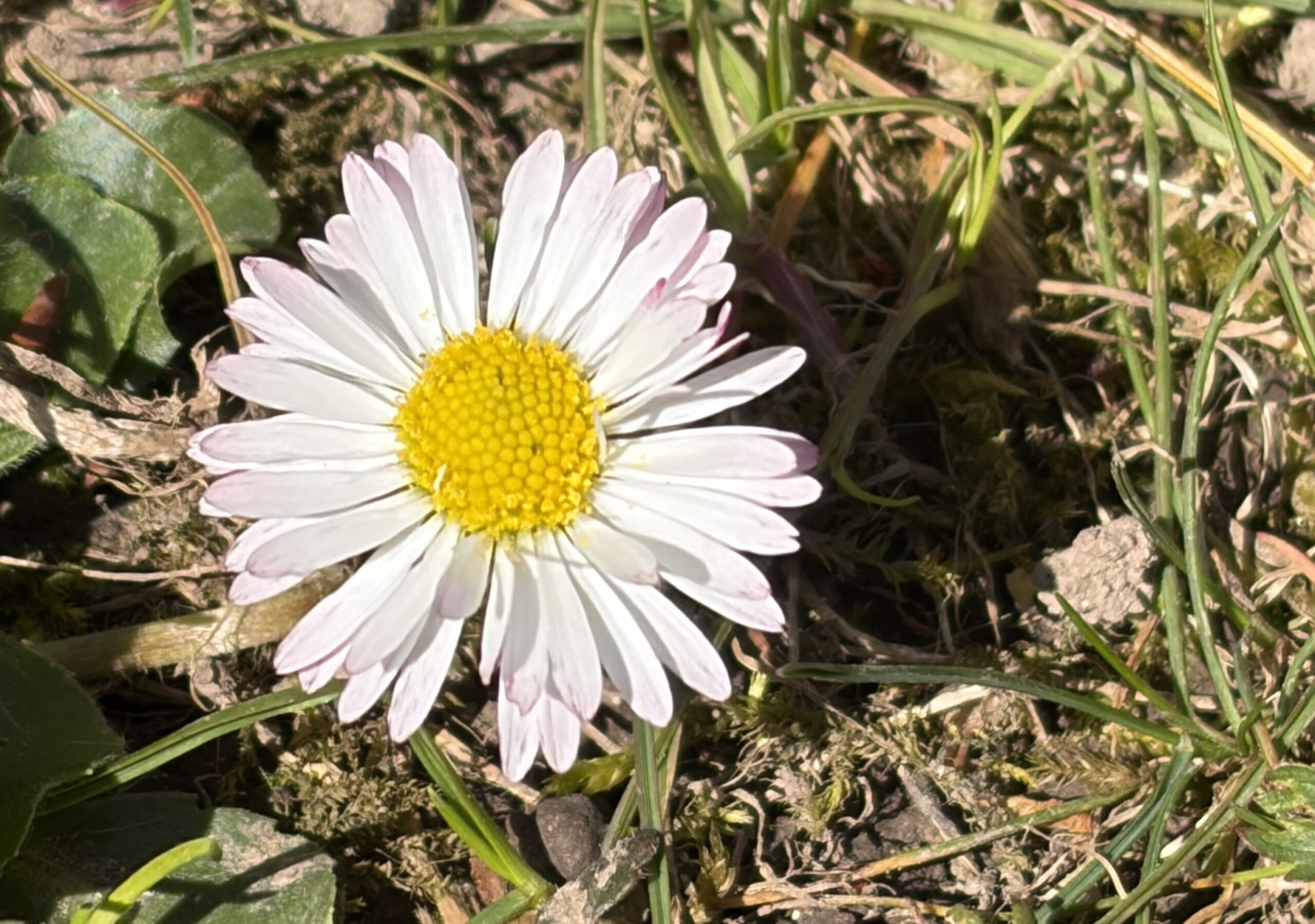 img 81444 bearbeitet 1